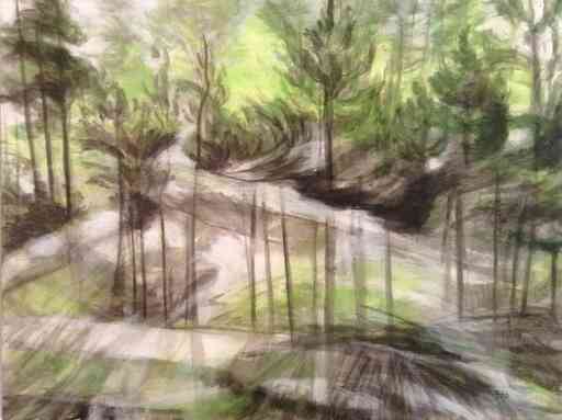 Trees Black and Green